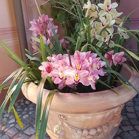 Caterina Tatil Evi *