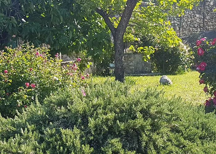 Caterina Prázdninový dům