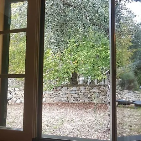 Caterina אימפריה