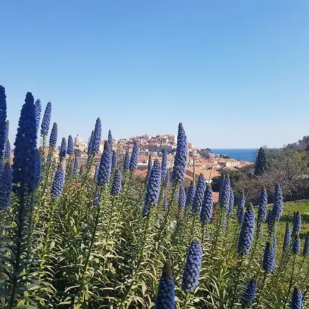 Casa vacanze Caterina Imperia