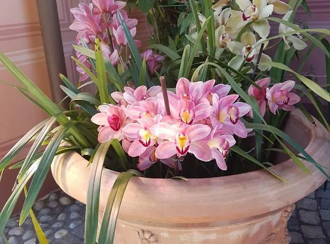 Caterina Semesterbostad *